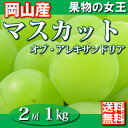 【ももたろうの国から産地直送】【ご贈答用・ご自宅用】【お持たせ・おもたせ】【送料無料】岡山県産地直送マスカットオブアレキサンドリア1kg前後(2房) 香り際立つ果物の女王！『桃太郎』の国から産地直送^
