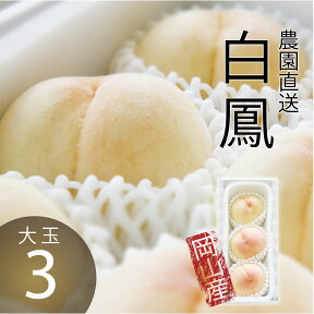 ＼4/30迄 早割500円OFFクーポン／ 秀品 桃 白桃 岡山白桃 白鳳 大玉3玉 ギフト モモ もも momo 産直 高級 フルーツ 果物 くだもの プレゼント 御中元 暑中見舞い 美味しい お見舞い お供え ※7月下旬以降順次出荷 北海道沖縄一部地域配送不可