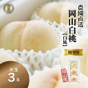 秀品 桃 白桃 岡山白桃 白鳳 大玉3玉 ギフト モモ もも momo 産直 高級 フルーツ 果物 くだもの プレゼント 御中元 暑中見舞い 美味しい お見舞い お供え ※7月下旬以降順次出荷 北海道沖縄一部地域配送不可