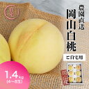 【早割500円OFFクーポン】 ご自宅用お試しサイズ 桃 白桃 岡山白桃 モモ 白桃 1.4kg前後 ケース もも momo 岡山の桃 高級 黄金桃 フルーツ ...