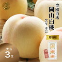 秀品 桃 白桃 岡山白桃 3玉 お中元 ギフト 産地直送 白皇 恵白 黄金桃 モモ もも momo かたい桃 硬い桃 高級 フルーツ 果物 くだもの プレゼント...