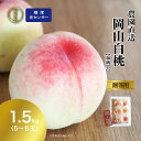 【早割500円OFFクーポン】 特秀品 桃 糖度センサー 白桃 岡山白桃 1.5kg前後 モモ もも momo 贈答 ギフト 加納岩 白鳳 おかやま夢白桃 川中...