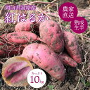 紅はるか サツマイモ 10kg 農家直送 さつま芋 芋 お芋 安心安全 秋の味覚 焼き芋 大学芋 新鮮 採れたて 熟成芋 北海道沖縄一部地域配送不可(4)