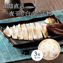 白いか干物 3枚セット 島根県浜田産 白いか ケンサキイカ 3枚セット 山陰直送 贈り物 お歳暮 プレゼント 父の日 お中元 お歳暮 贈答品 お酒の友 送料無料...