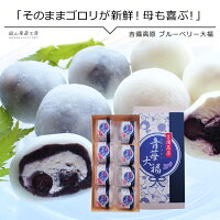 生クリーム大福 吉備高原 青苺ブルーベリー大福 8個入り 送料無料 冷凍 大福 生クリーム