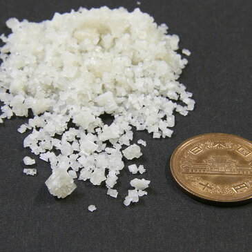 塩 業務用 フランス 業務用 大量 ゲランドの塩 あら塩 1kg×10袋 フランス有機農業推進団体認定品 アクアメール パスタ塩 お得なまとめ買い