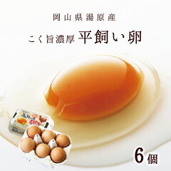 https://thumbnail.image.rakuten.co.jp/@0_mall/jshop-web/cabinet/tanpinyasai/egg/tamago0002_02.jpg