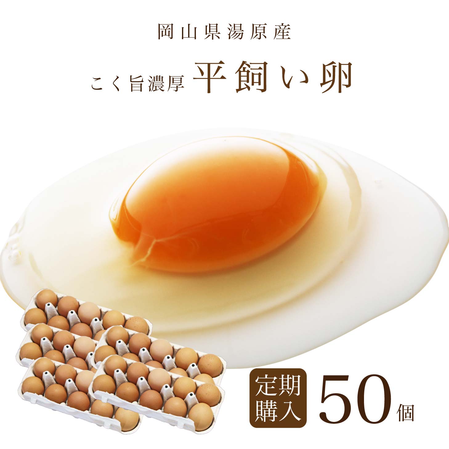 【初回3,960円】平飼い たまご 玉子 卵 定期購入 定期 50個(破損保証5個) 無選別 コク旨 濃厚 黄身 白身 国産 地鶏 たまごかけごはんにぴったり 無精卵 送料無料 岡山県産 真庭市 50個 1パック10個 定期便