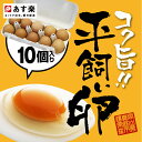 【岡山県真庭産】清流の流れる環境の中、平飼いして育てた元気な鶏が生んだ上質の卵です。【あす楽】コク旨濃厚 平飼い卵10個入【冷蔵】^たまご/玉子/卵/無選別/こだわり卵/たまごごはんにぴったり