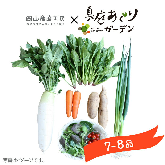 野菜セット 送料無料 真庭あぐり野菜セット 7〜8品　後払い お試し少人数セット おためし野菜 岡山県真庭市産 岡山産 西日本 やさい 離乳食 酵素ジュース 野菜販売