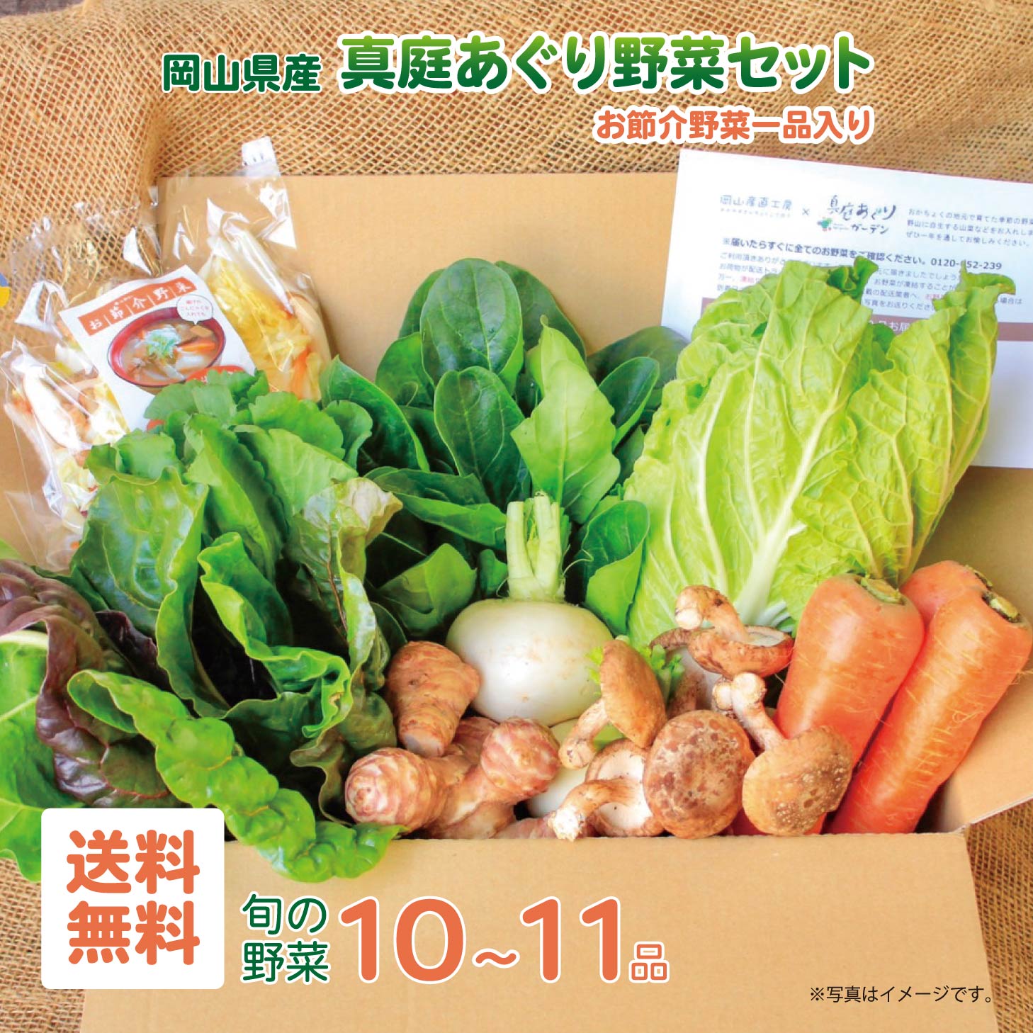 真庭あぐり野菜セット 野菜セット 送料無料 詰め合わせ 選べる野菜セット 選べる卵付き 平飼い卵 ギフト 野菜 セット カット野菜が1品入る10~11品 野菜詰め合わせ 野菜 お節介野菜 お試し少人数セット 岡山県真庭市産 岡山産北海道沖縄一部地域配送不可