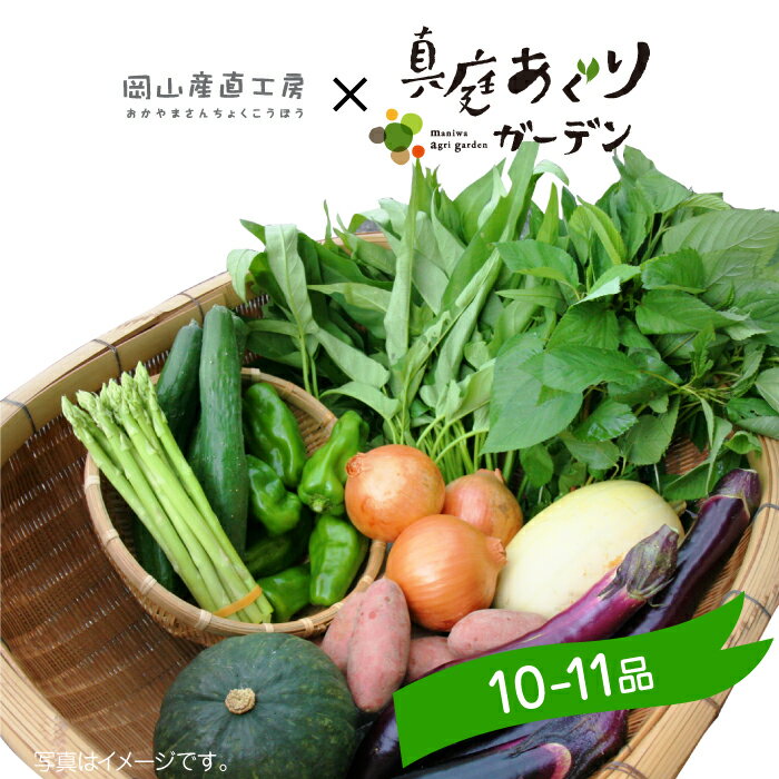 野菜セット 真庭あぐり野菜セット 10〜11品　後払い お試し少人数セット おためし野菜 岡山県真庭市産 岡山産 西日本 やさい 離乳食 酵素ジュース 野菜販売