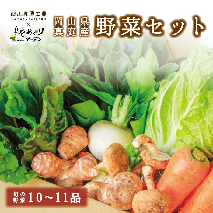 野菜セット 送料無料 詰め合わせ 農家 真庭あぐり野菜セット ギフト 野菜 セット カット野菜が1品入る1..