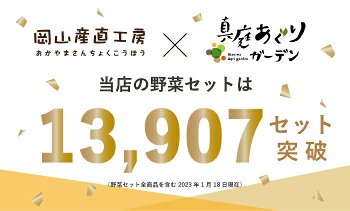 真庭あぐり野菜セット 野菜 卵 ヨーグルト 野菜10品 カット野菜 平飼い卵 蒜山ジャージーヨーグルトセット 野菜セット 詰め合わせ 送料無料 ギフト 北海道沖縄一部地域不可 2