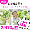 岡山産直野菜セット13品^【送料無料】【岡山県真庭市産/岡山産/西日本/やさい/離乳食/母の日/楽ギフ/同梱/送料無料/酵素ジュースに最適/野菜販売/母の日ギフト/離乳食/母の日/楽ギフ/同梱で嬉しい送料無料/酵素ジュースに最適】