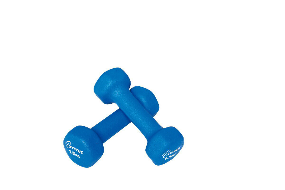 TOEI LIGHT トーエイライト ダンベル 1.5kgx2個セット ラバーコーティング 筋トレ 家トレ お家時間 xa-h9056