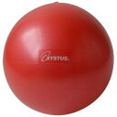 TOEI LIGHT トーエイライト ピラティスボール250 赤 レッド 直径25cm xa-h7352r