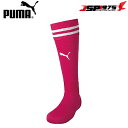 PUMA プーマ ラインイリ ストッキング ピンク 25-27cm 靴下 ソックス ストッキング 練習用 サッカー フットサル サッカー用品 729881(4)