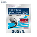 GOSEN ゴーセン TECGUT テックガット5300 ナチュラル 軟式テニス ガットSS603 ゴーセン テニス ガット