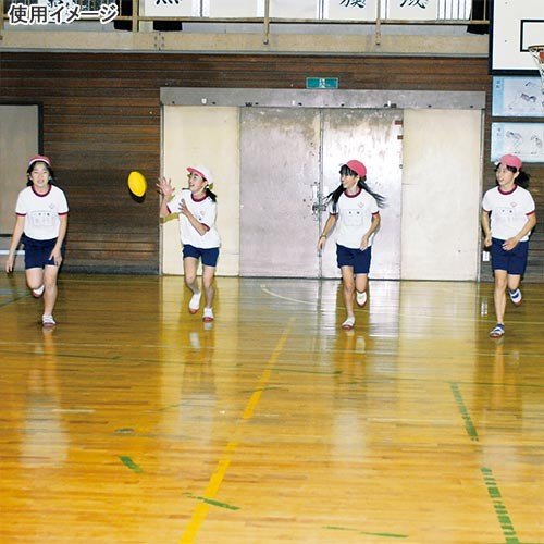 TOEI LIGHT トーエイライト ラグビーボールPU210 レクレーション　学校　体育　xa-b3598