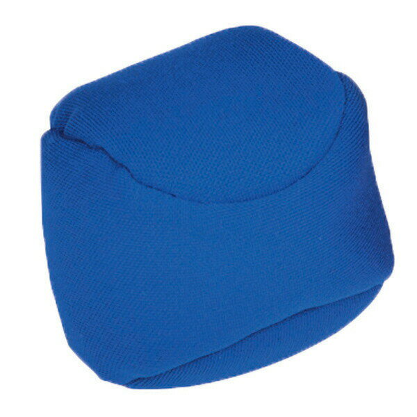 トーエイライト TOEI LIGHT カラー玉SR50 B3978B 10個 青 ブルー ボールゲーム 玉入れ 運動会 練習 スポーツ 運動 体育 学校 4518891254908