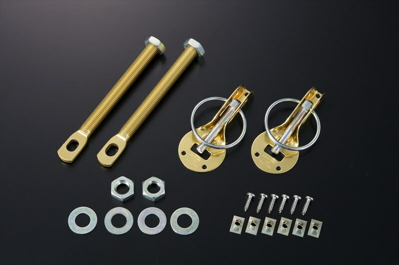 ジェイズ レーシング, ボンネットピン ゴールド