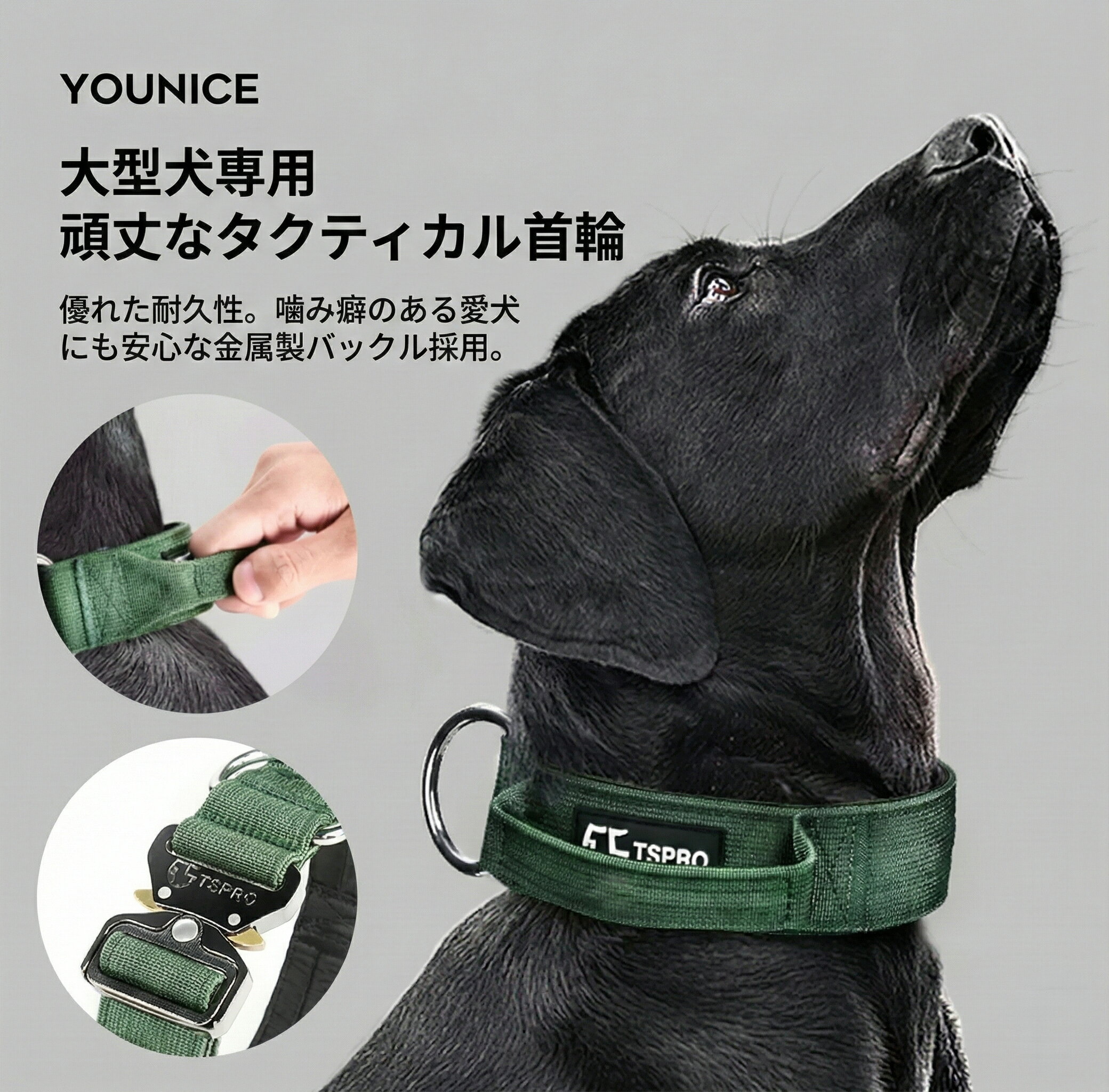 Rakuten - 【首輪＆リードセット】犬 首輪 中型犬 大型犬対応 おしゃれ やわらかい 負担が少ない 簡単 パピー アウトドア キャンプ 散歩 ブランド おしゃれ 痛くない ソフトパッド 丈夫 イージーウォークカラー かっこいい