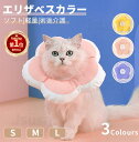 【楽天1位】【500円OFFクーポン有！