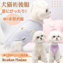 【楽天1位！】犬用術後服 猫用術後服 イヌネコキャット 春夏