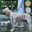 【楽天1位】小中大型犬服 クリアレインコート ドッグウェア リード穴付 レインポンチョ カッパ 犬用合..