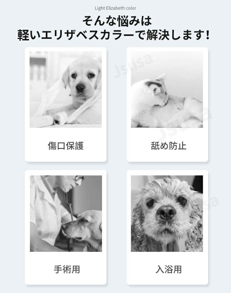 thum2