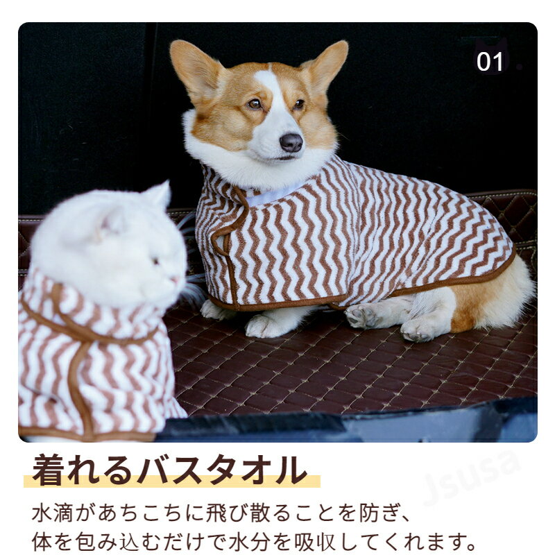 �ڳ�ŷ1�̡ۥڥåȥ����� �����緿 �� �Х������� �� ǭ �Х������� ���ѥХ������� �ڥå� ����Х������� ���� �����ס� �ۿ�®�������� ��Ϥ������ ������ �ɥ饤�䡼����û�� ����Ϥ ���� �ۿ�®�������� �ۿ� ®�� �ο��� �ͥ��ݥ�����̵������ra49811��