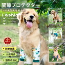 【楽天1位】犬 サポーター 前足 関節 中型犬 大型犬用 膝サポーター 関節プロテクター 前足 ソフト 犬服 肘 タコ 関節保護 固定 リハビリ 肘当てリハビリ...