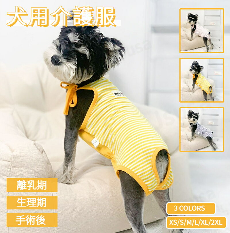 ＼クーポンで200円OFF／犬用マナーウェア マナーパンツ 犬用 サニタリーパンツ 生理パンツ おむつカバー サスペンダー付き マナーベルトドッグウェア 生理用 犬服 小型犬 中型犬 介護 ネコポス送料無料！【ra48911】