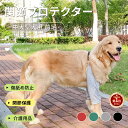 ＼200円OFFクーポン有／中大型犬用膝サポーター 犬用 関節プロテクター前足 犬服 関節保護 固定 リハビリ 肘当てリハビリ ひざ用老犬介護 介護用品怪我防止老犬介護 ペットケア 傷舐め防止 術後 ひざ用 床ずれ 腕 肘 老齢犬 ネコポス送料無料！【ra64311】