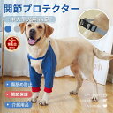 【楽天1位】中大型犬用膝サポーター 犬用 関節プロテクター前足 犬服 関節保護 固定 リハビリ 肘当てリハビリ ひざ用老犬介護 介護用品怪我防止 ペットケア 傷...