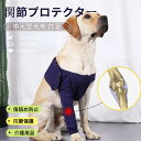 犬 サポーター 前足 中大型犬用膝サポーター 犬用 関