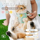 中小型犬猫用胸当て ハーネス リードセット バッグ付き ペット胸当て ペットリード 犬猫兼用 抜けない ソフト胸あて 胴輪 軽量 通気メッシュ散歩 お出かけ ネ...