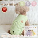 術後服 犬用 猫用 小中型犬用 女の子 雌用 四脚 術後着