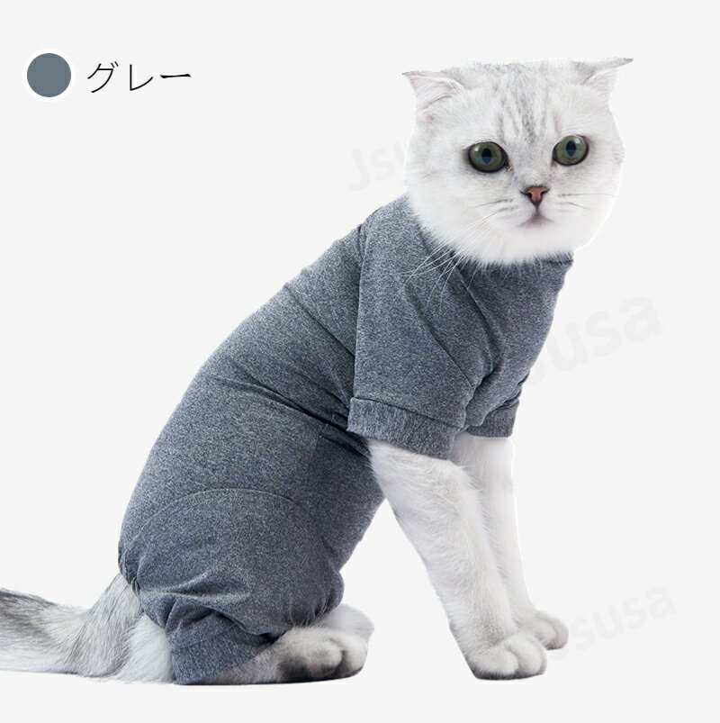 楽天市場】猫用術後スーツの通販