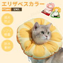 ドーナツエリザベスカラー ネコ 猫用 小型犬用 ペットグッズ 介護用品 術後 手術後 軽量タイプ ソフト 柔らかい クッション 枕 綿入り 傷舐め防止 引っ掻き防止 傷口保護 患部 病気 怪我 皮膚病 炎症 対策 ヘルスケア軽い 装着 簡単「定形外郵便、送料無料」【ra94926】