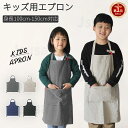 【楽天1位】キッズエプロン 首掛け子供エプロン 同色三角巾追加可能 おしゃれ リネン コットン 色落ちしない こども 男の子 女の子 男女兼用 小学生 入園入学 調理実習 幼稚園 料理教室 学校 シンプル ユニセックス キッズ用エプロン ネコポス送料無料!【ra27711-1】