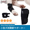 関節プロテクター 犬用膝サポーター ショット ペット用ケア用品 中小型犬用足根関節サポーター ショートサポーター リハビリホック 片足 怪我防止 犬骨折治療 捻挫 筋挫傷 外科用に犬介護 保健 ペットケア ペット用品 お出かけ用品 ネコポス送料無料！【ra49309】