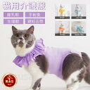 【楽天1位】猫専用術後服 離乳期 手