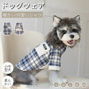 ドッグウエア 秋冬 犬服 暖かい 長袖シャツ スウェット スーツ チェックシャツ ペット服 ペットウェア 小型中型犬服 犬の服 犬 服 秋冬 防寒対策 暖かい あったか 犬 シャツ メス オス 秋服 冬服 女の子 男の子 抜け毛防止 防寒着 ネコポス送料無料!【ra54210】