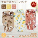 送料無料 犬用マナーパンツ 犬用サニタリーパンツ 犬用パンツ 犬用生理パンツ 犬用オムツカバー おむつカバー ドッグウェア ドッグウエア トイレ しつけ 粗相 フリル レース ふりふり フリフリ 可愛い かわいい 女の子 メス 雌 めす お出かけ 犬用品 ペット用品 イヌ用 いぬ