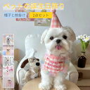 ペットの誕生日会 犬用 猫用 誕生日グッズ パーティグッズ 帽子と前掛けの2点セット 誕生日帽子 パーティー用品 記念撮影 よだれかけ 前掛け HAPPY BI...