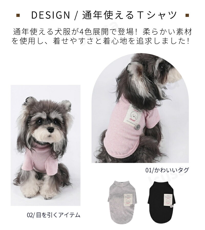 サンプル画像2