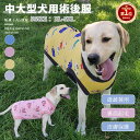 【楽天1位】秋冬 中/大型犬用術後ウェア イヌ術後服 犬 手術後 服 術後着 暖かい裏起毛 前後足  ...