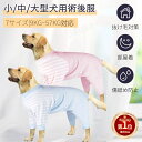 【楽天1位】中型犬 術後服 大型犬 術後ウェア